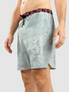 Stance Complex Boardshorts