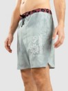 Stance Complex Boardshorts