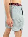 Stance Complex Boardshorts