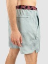 Stance Complex Boardshorts
