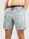 Stance Complex Boardshorts