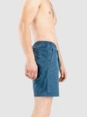 Vans Range Salt Wash Relaxed Elastic Shorts