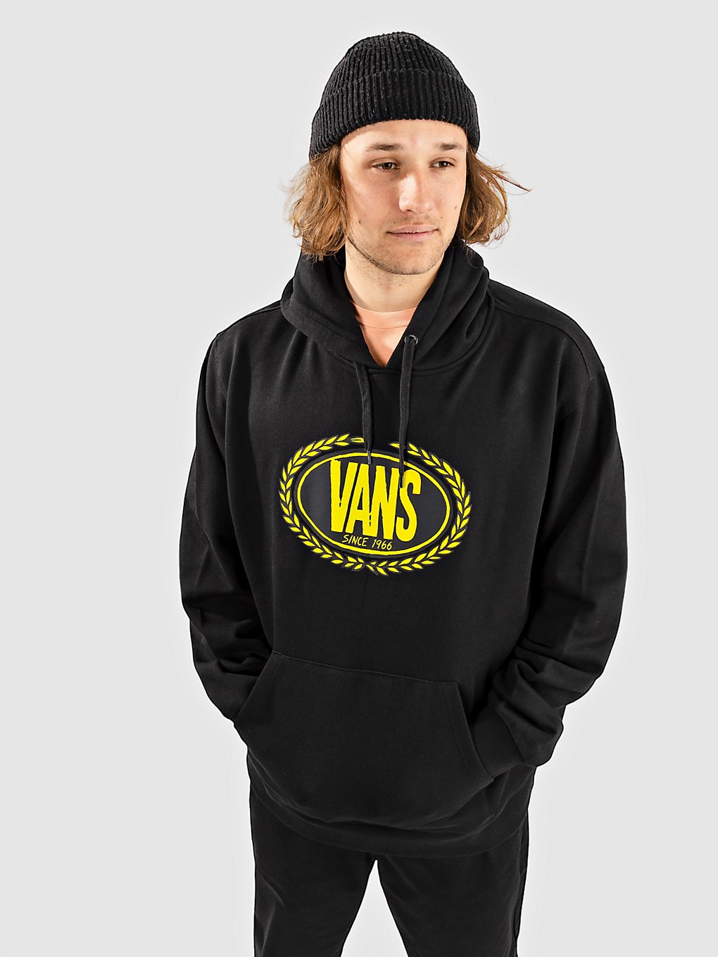 Vans Skate Classics Hoodie black kaufen