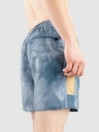 Vans Primary Wave Elastic Boardshorts