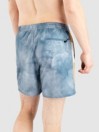 Vans Primary Wave Elastic Boardshorts