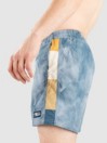 Vans Primary Wave Elastic Boardshorts