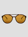 CHPO Rickard Turtle Brown Sunglasses