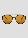 CHPO Rickard Turtle Brown Sunglasses
