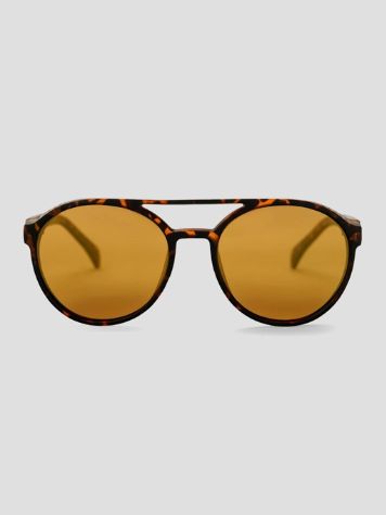 CHPO Rickard Turtle Brown Sunglasses