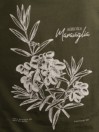 Anerkjendt Akkikki Olive2 T-Shirt