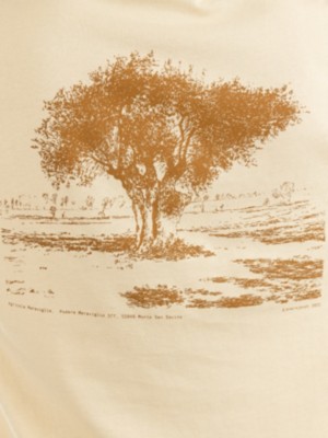 Akkikki Olive1 T-skjorte