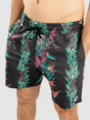 Volcom V Ent Pepper Stoney 17 Boardshorts