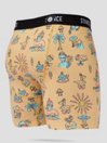 Stance Hunger Calzoncillos