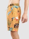 The Dudes Treasure Trail Boardshorts