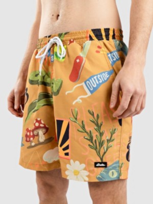 The Dudes Treasure Trail Boardshorts