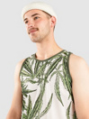 DGK Botany Canotta