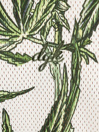 DGK Botany Canotta