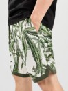 DGK Botany Korte Broek