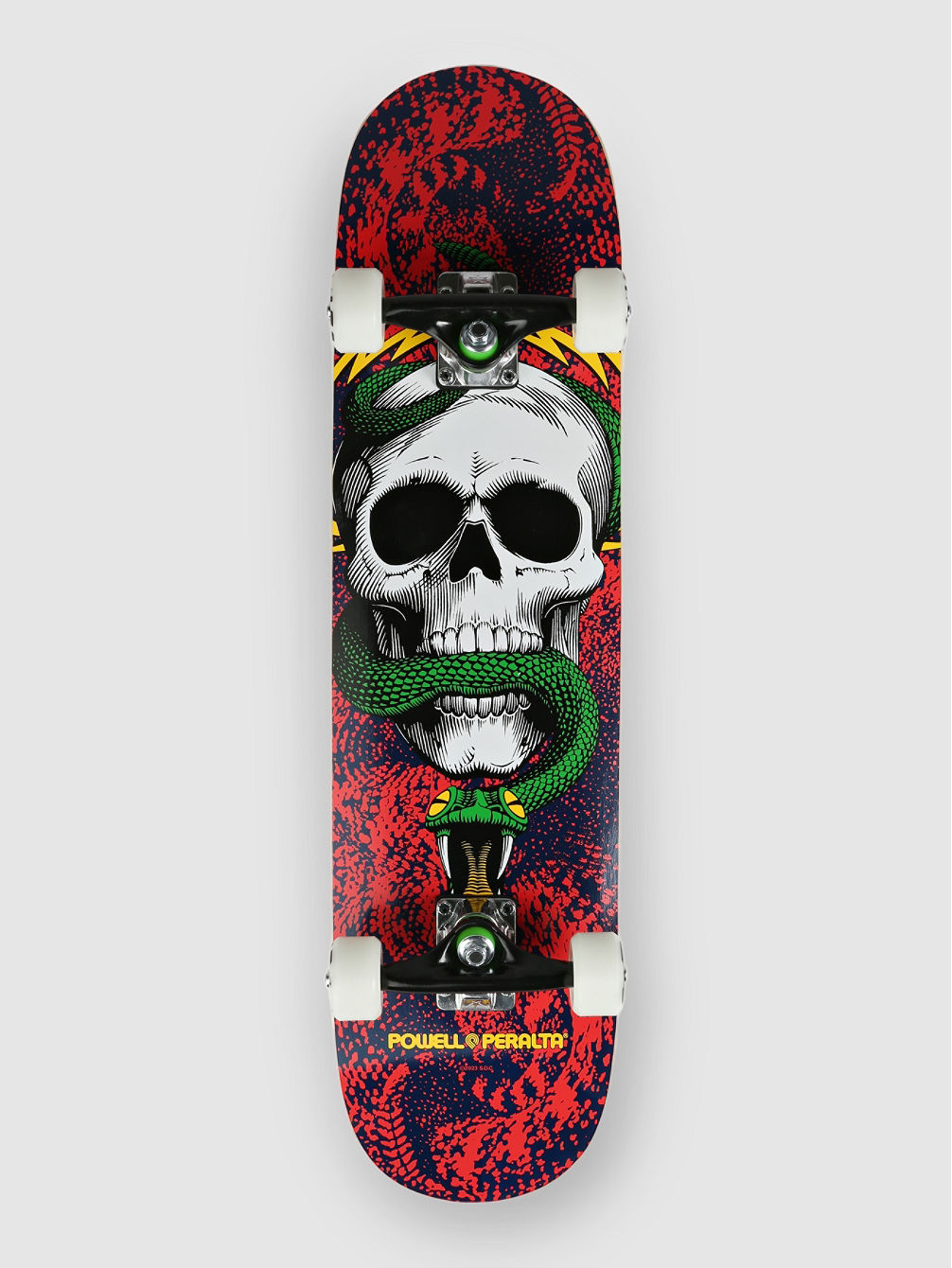 Skull &amp;amp; Snake 7.75&amp;#034; Skateboard Completo