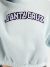 Santa Cruz Gingham Arch Strip Hoodie