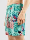 Hurley Cannonball Volley 17' Boardshorts