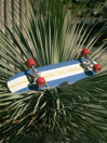 YOW Vermont 7.6″ Cruiser Completo