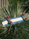YOW Vermont 7.6″ Cruiser