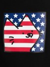Leon Karssen Americat Hoodie