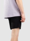 Taikan Nylon Shorts