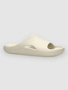 bone
