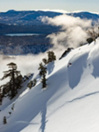 Jones Snowboards Dream Weaver Snowboard