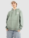 Vans Relaxed Fit Po Hettegenser