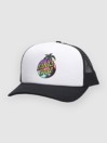 Santa Cruz Palm Dot Meshback Cap