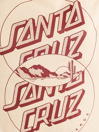 Santa Cruz Venn Dot T-shirt