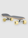 Mercer So Much Shrooms 8.0″ Cruiser Completo