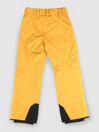 Quiksilver Boundry Kids Hlače