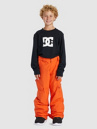 DC Banshee Kids Byxor
