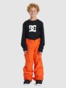 DC Banshee Kids Byxor