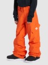 DC Banshee Kids Byxor