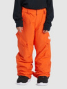DC Banshee Kids Byxor