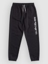 Quiksilver Trackpant Screen Kids Pants
