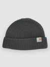 Carhartt WIP Banks Gorro