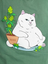 RIPNDIP Flower Boy T-Shirt