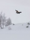 Bataleon Thunderstorm 2024 Snowboard