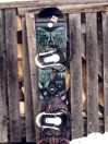 Gnu Pro Choice 2024 Snowboard