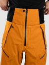 Ortovox 3L Guardian Shell Pants