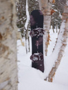 Burton Talent Scout 2025 Snowboard