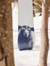 Burton Yeasayer Flying V 2024 Snowboard