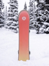 Burton Family Tree Gril Master 2024 Snowboard