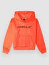 O'Neill Rutile Hoodie Fleece Kids Hoodie